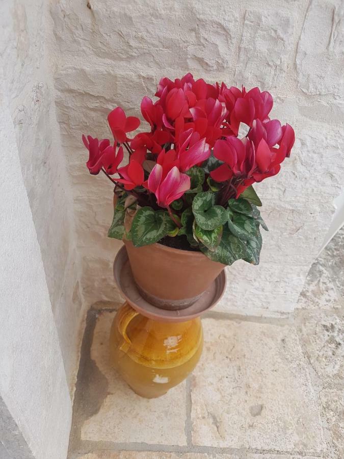 Dimore E Trulli Dell'Aia Antica Villa Alberobello Dış mekan fotoğraf